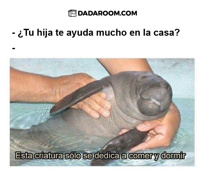 Cuando tu mamá ya no te quiere en la casa.