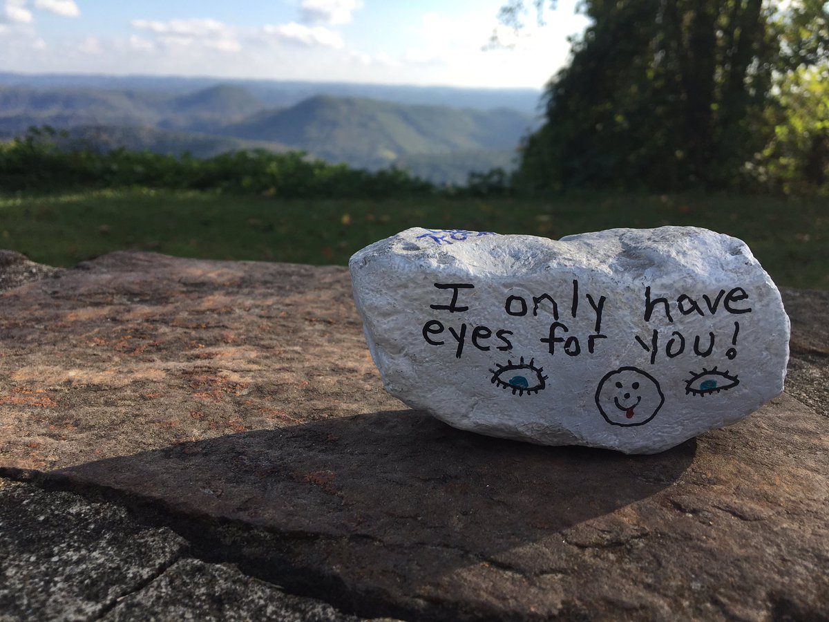 KVonwechmar's tweet photo. Found this cute rock on the side of the overlook in Virginia, on the way home. #LeeRocks https://t.co/AXgaNeUf2I