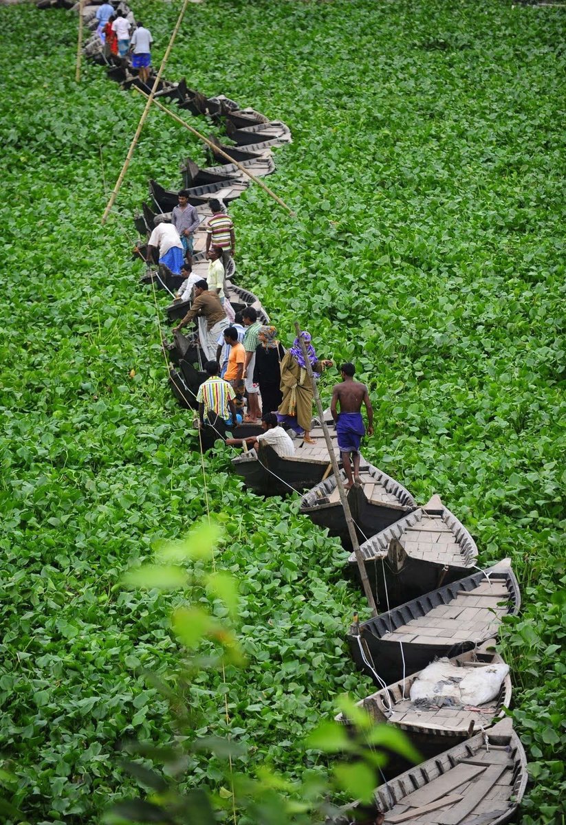 SweetyGirl_2009's tweet photo. 📍
Bangladesh Boat Bridge
- HOME SWEET WORLD https://t.co/UUgUp8GioD