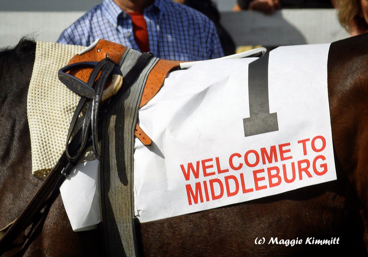 Maggie_Kimmitt's tweet photo. Welcome to Middleburg, @stridefree 🏇#ostrichsaddle #virginiafallraces https://t.co/p4vkr8XTIi