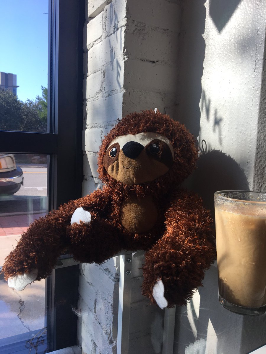 I hope this cute sloth makes the transition into the new work week a little more bearable.