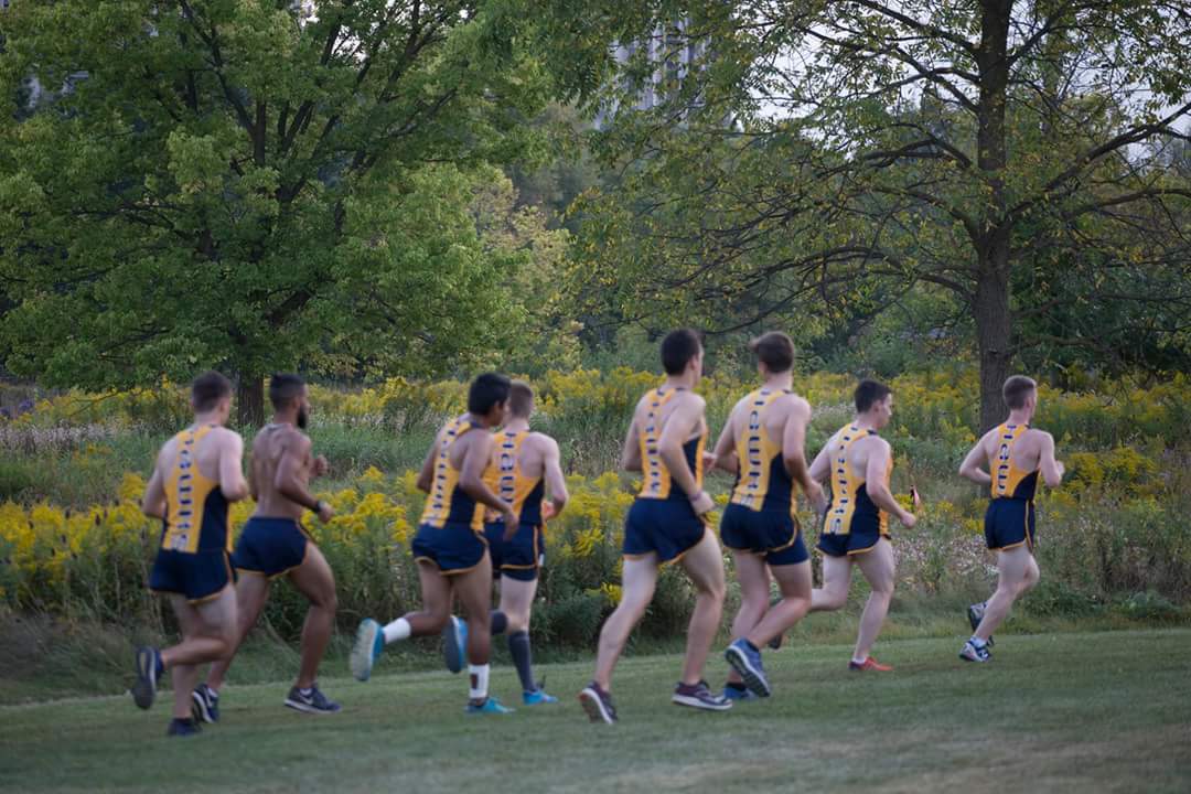 HumberXC's tweet photo. 4th for the men - Campbell- 16th, Veenstra- 20th, Maynard- 22nd, Tomlinson- 28th, Nixon- 30th, Wells- 31st https://t.co/csgmHse3Pv