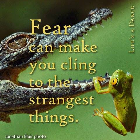 haforhope's tweet photo. https://t.co/jmS4osFaIr