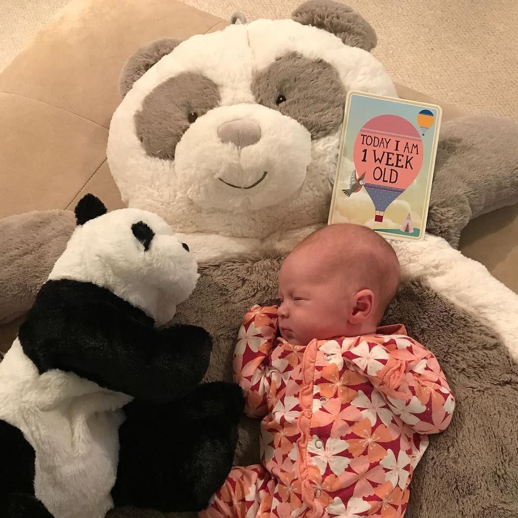 RJW2001's tweet photo. 1 week old! 🎂🎉🎊👸🏼🐼 #AAW #PrincessPanda https://t.co/l4m6nGB53U
