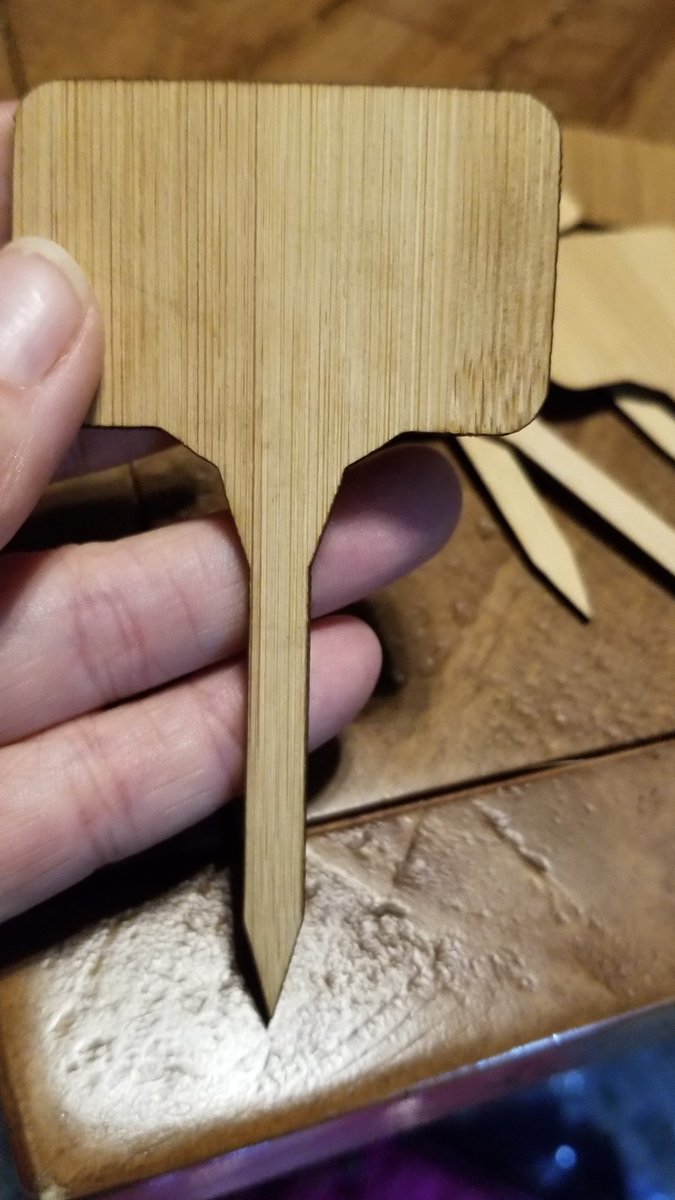 DSSC_Coach's tweet photo. Now I can label my plants and keep them straight! Great little #bamboo plant stakes. #PlantersChoice - https://t.co/QhMxxXkCWv https://t.co/trJ4b9BYsW