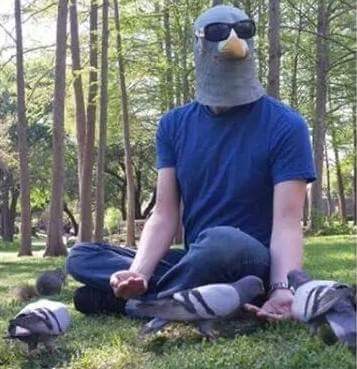 squinty_bird's tweet photo. https://t.co/4JrOdocJHU
