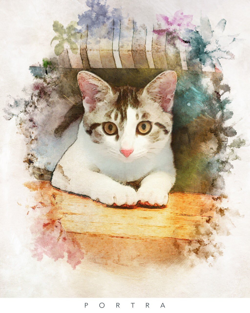 しらさぎ動物病院 Na Twitteru 流行りのアプリで水彩画チックに加工しました 待ち受け画面にどうぞ 8n8