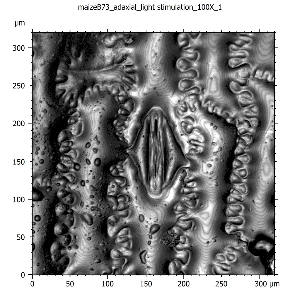 Miranda J Haus On Twitter Is That From The Optical Topometer