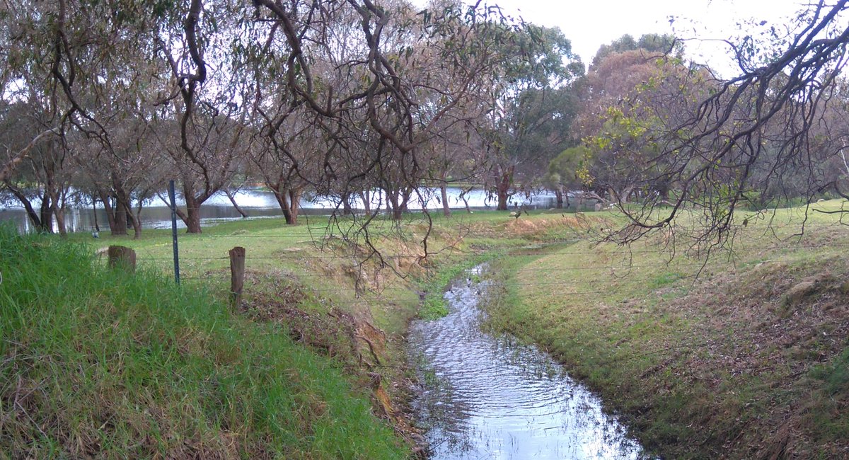 NeilDDixon's tweet photo. Stewardship: #REIPeel farmer who planted trees around his wetland now looking to keep water longer not send it down the drain #waestuaries https://t.co/PzSMGABxAc