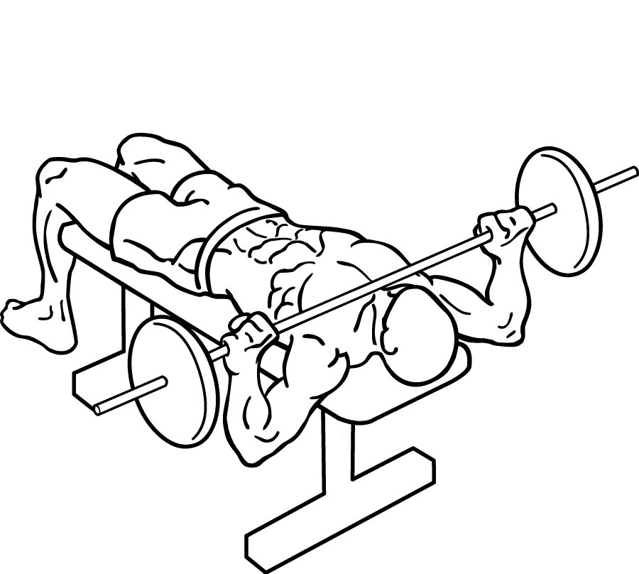 Freegymprogram tweet media