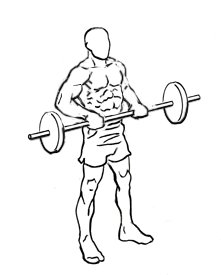 Freegymprogram tweet media