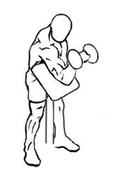 Freegymprogram tweet media