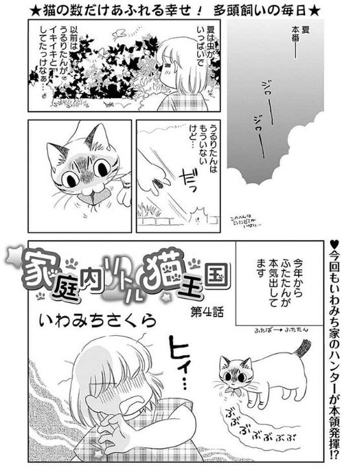 いわみちさくら を含むマンガ一覧 ツイコミ 仮