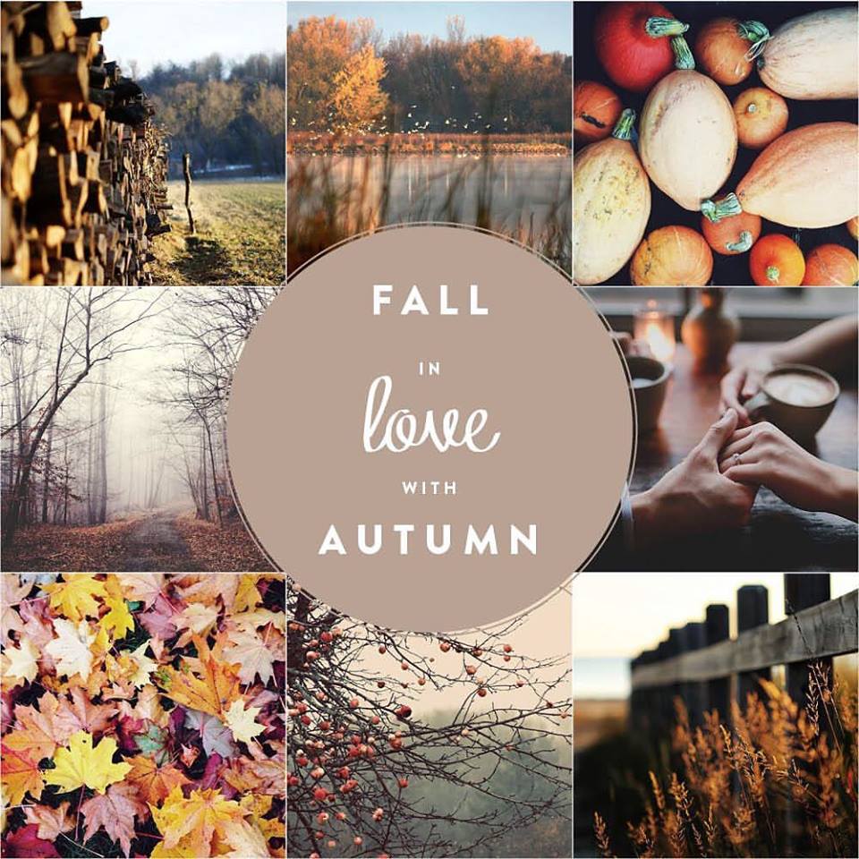 Autumn is my favourite season 🍁 #wellies #autumn #autumnweddings #octoberwedding #bridalshop #batley