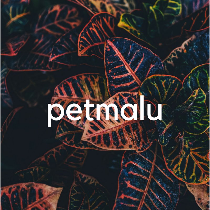 ph_popcorn's tweet photo. Galawang #Petmalu tsaka #Lodi ba 'ka mo? #PopcornPH https://t.co/4NRYFaeJA3