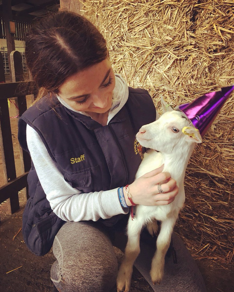StockleyFarmPk's tweet photo. The goats are getting their Halloween costumes ready, but we're not sure this one is going for the right vibe! #notscaryatall #partygoat https://t.co/C4KCqgIjTC