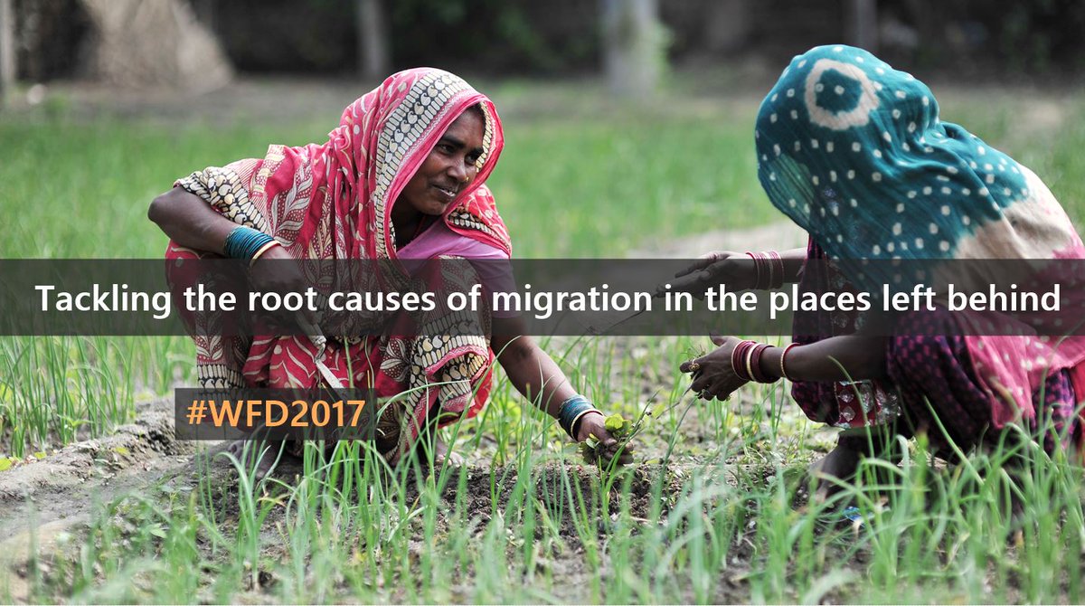 IWMI_'s tweet photo. On #WFD2017: 'The hidden truth about #migration: A looming farm crisis back home' - @IWMI_ DG #ClaudiaSadoff | https://t.co/MV8Sa4Fbpl | https://t.co/ugXiyJZug9