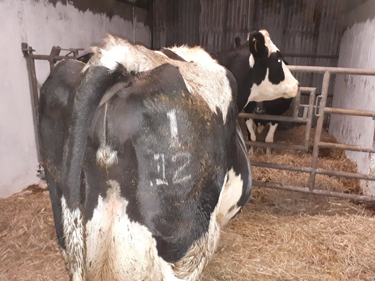 HaroldKingston1's tweet image. Always a good idea to keep emergency phone numbers handy in a #hurricane #staysafe #calving17 #Ophelia