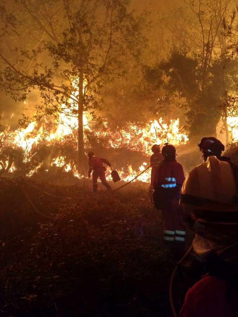 UsuarioDVID's tweet photo. La historia se repite una vez mas...
😔 #ArdeAsturias https://t.co/mHHh2lWw7y