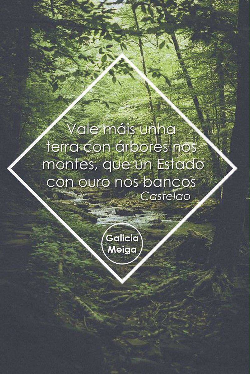 JorgeLpezGuzmn's tweet photo. 😢😢😢😢😢😢#QueimanGaliza https://t.co/zFiKKozsZ8