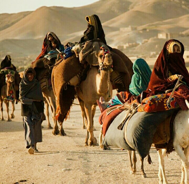 shazya9's tweet photo. قافلة للبلوش #البدو  بالقرب من نيمروز #أفغانستان #بلوشستان @AFG_history https://t.co/HfPK6YwGLe