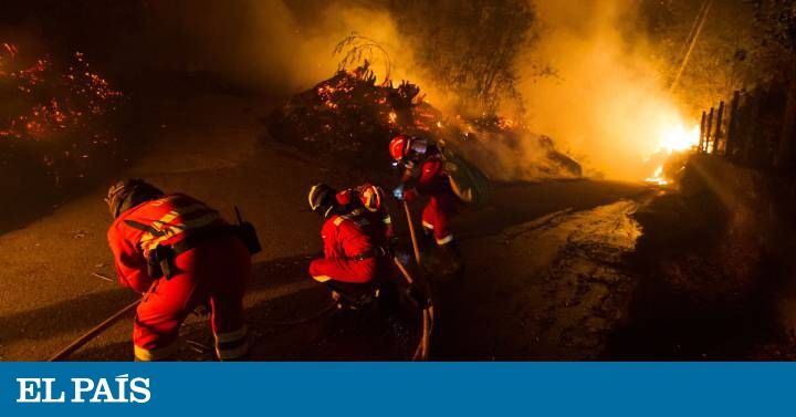 marina comercio tweet media