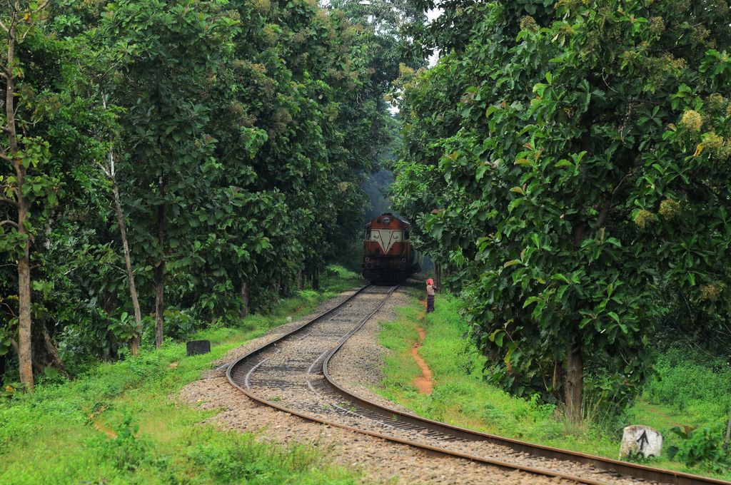IndianPaths's tweet photo. come lets be one with mother nature in #southern_India #beautiful_India #blissful_travelling with us at https://t.co/5ikwpkTD4f https://t.co/ZqFFgS3LJ7