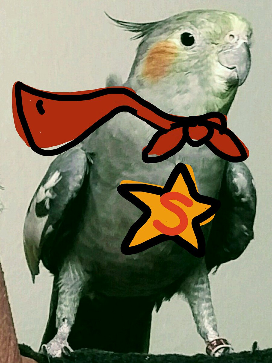 AWildStarly's tweet photo. @tina_currey - TUH-DUH!!! https://t.co/X1k9OQVlj6