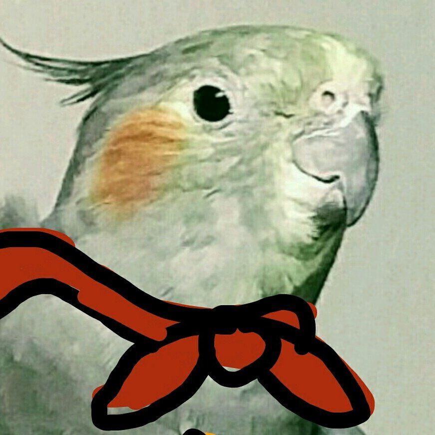 AWildStarly's tweet photo. #NewProfilePic https://t.co/jsGOnOYel4