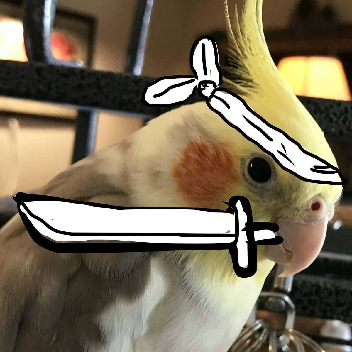 AWildPikachu's tweet photo. @tina_currey - Don't forget I'm a kung-fu action hero also. Look! See! Look at me! Look! See! https://t.co/l871CQQUWX