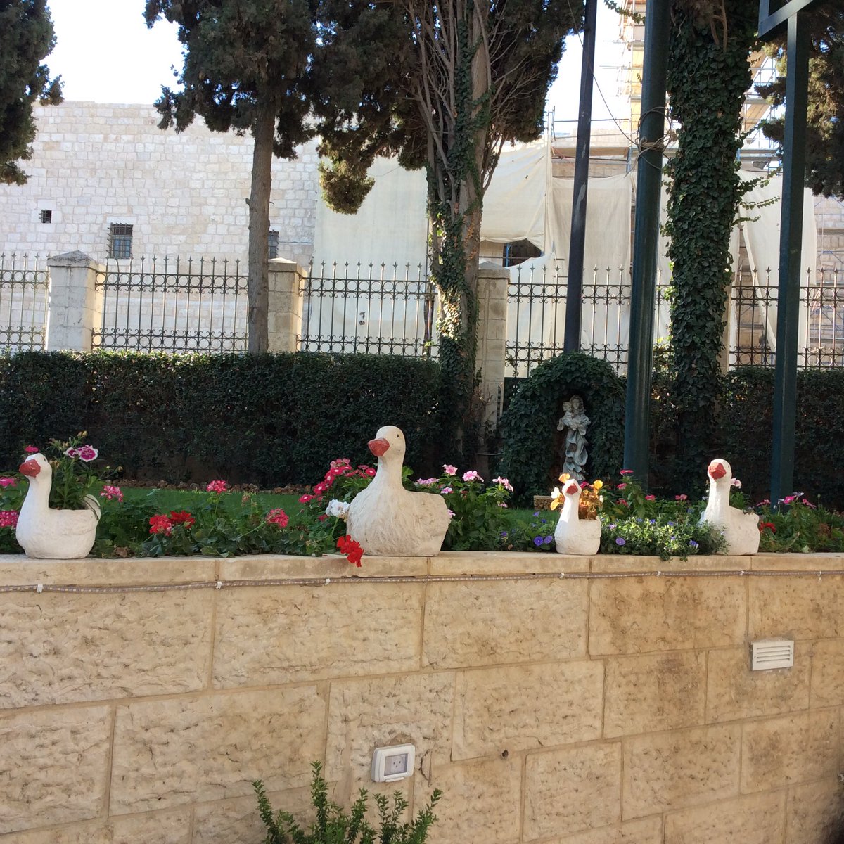 KathyKTLC's tweet photo. Post breakfast...ducks in a row...we begin #bethlehemproject https://t.co/U2yKUVduNP