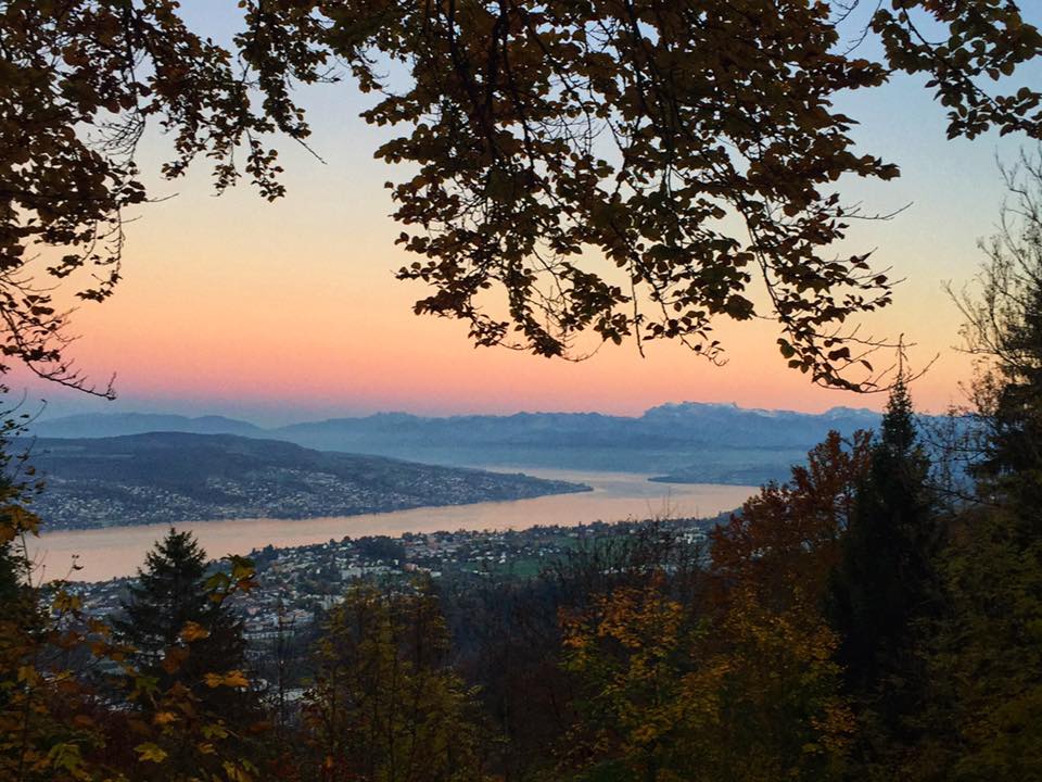 peakdate tweet picture