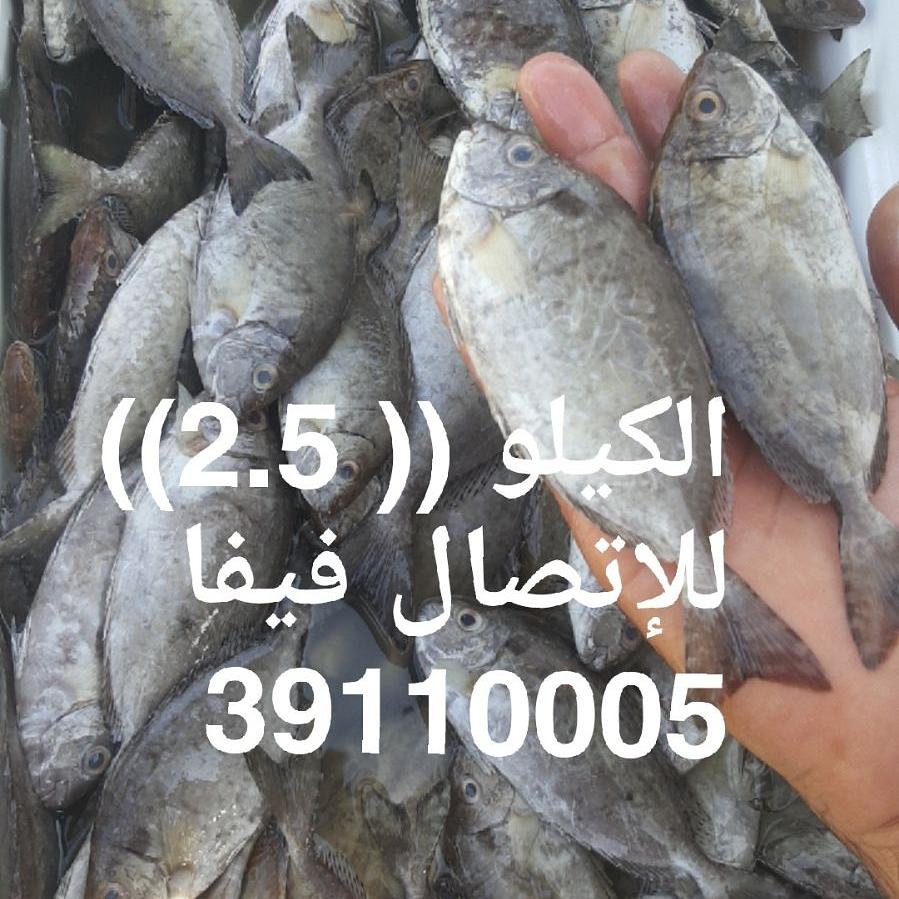 UmJafer's tweet photo. للاشتراك في خدمة whatsApp ،،

ولمعرفة الاسماك المتوفرة يومياً،، أرسل كلمة (إشتراك) على الرقم ��لتالي مع حفظ الرقم في الهاتف :

Tel:39110005 https://t.co/gQb1E9dUc6