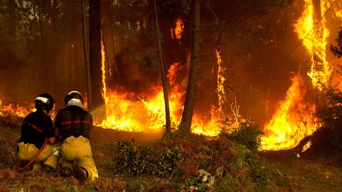 CCDcentro's tweet photo. Arde #Galicia tragedia humana y medioambiental. Nuestra solidaridad con los familiares de las víctimas. #Centristas https://t.co/PXSvfu8Php