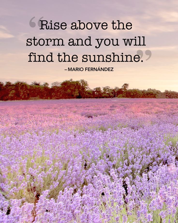 WellnessInstu's tweet photo. Our #Wellness quote today is https://t.co/DSxcetsg8e