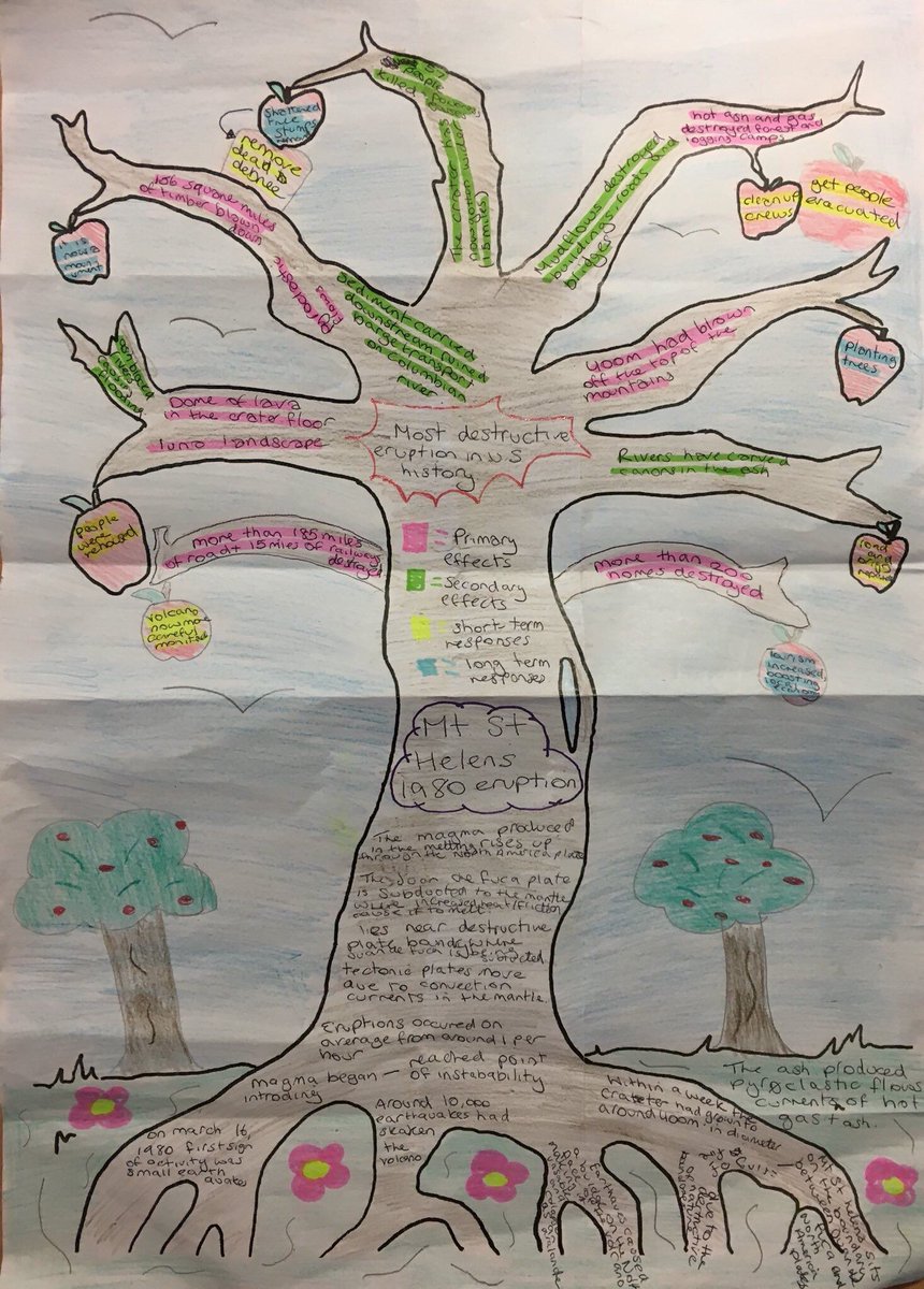 LessonToolbox's tweet image. Example trees - roots=causes, branches=effects &amp;amp; apples=responses via @Geoisamazing

#GeogEd #ukedchat #aussieEd