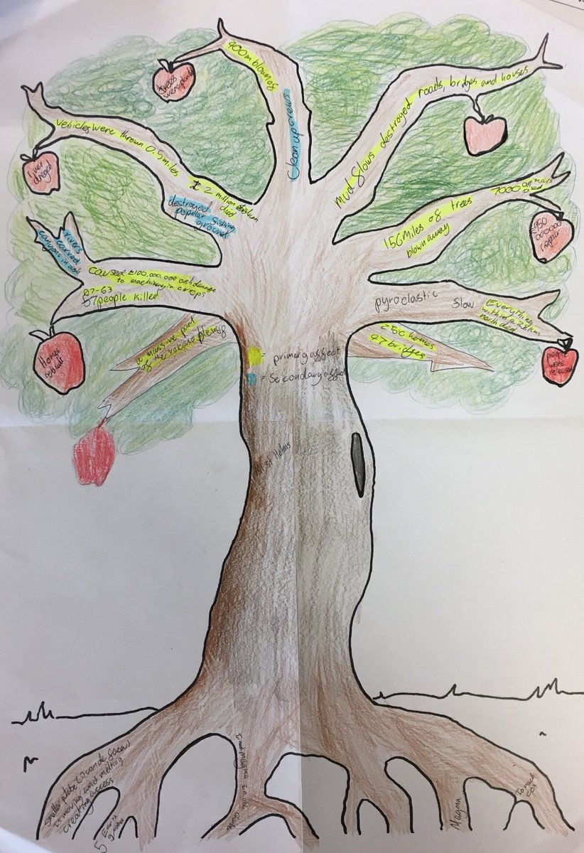 LessonToolbox's tweet image. Example trees - roots=causes, branches=effects &amp;amp; apples=responses via @Geoisamazing

#GeogEd #ukedchat #aussieEd