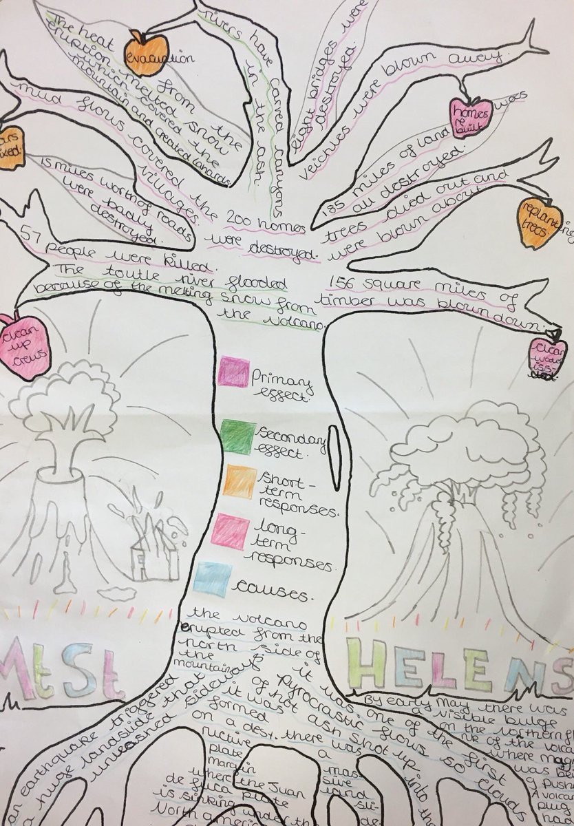 LessonToolbox's tweet image. Example trees - roots=causes, branches=effects &amp;amp; apples=responses via @Geoisamazing

#GeogEd #ukedchat #aussieEd