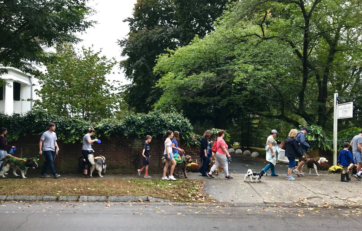 EricSundman's tweet photo. Fairfield Harvest Market 2017 &amp; Dog Parade #FairfieldCT led by @FPDK9Maverick @FPDCT K-9 unit @ChiefGaryMac https://t.co/vunqu1FfQF