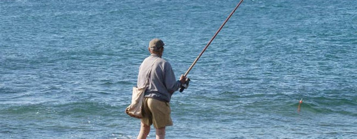 LukrisSL's tweet photo. Pezcador al día, principales noticias de pesca (octubre 2017, 2) https://t.co/ZdjWLWNKXt #pescadeportiva #noticiasdepesca #fishingnews https://t.co/xh3lTR0yoc