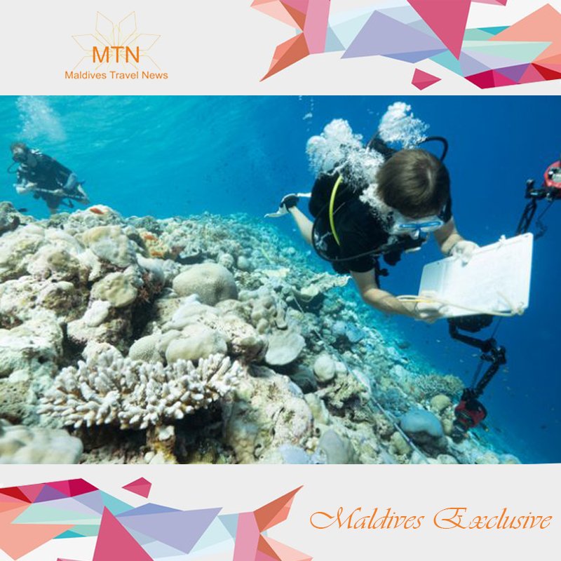 MaldivesTN's tweet photo. https://t.co/3kGBcuLUDY
@CarpeDiemIIMC #mtnews https://t.co/Flz8EfDJGM