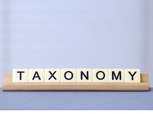 DataInfact's tweet image. What is Taxonomy? dub.io/tw/32310911 #data_model #data_quality