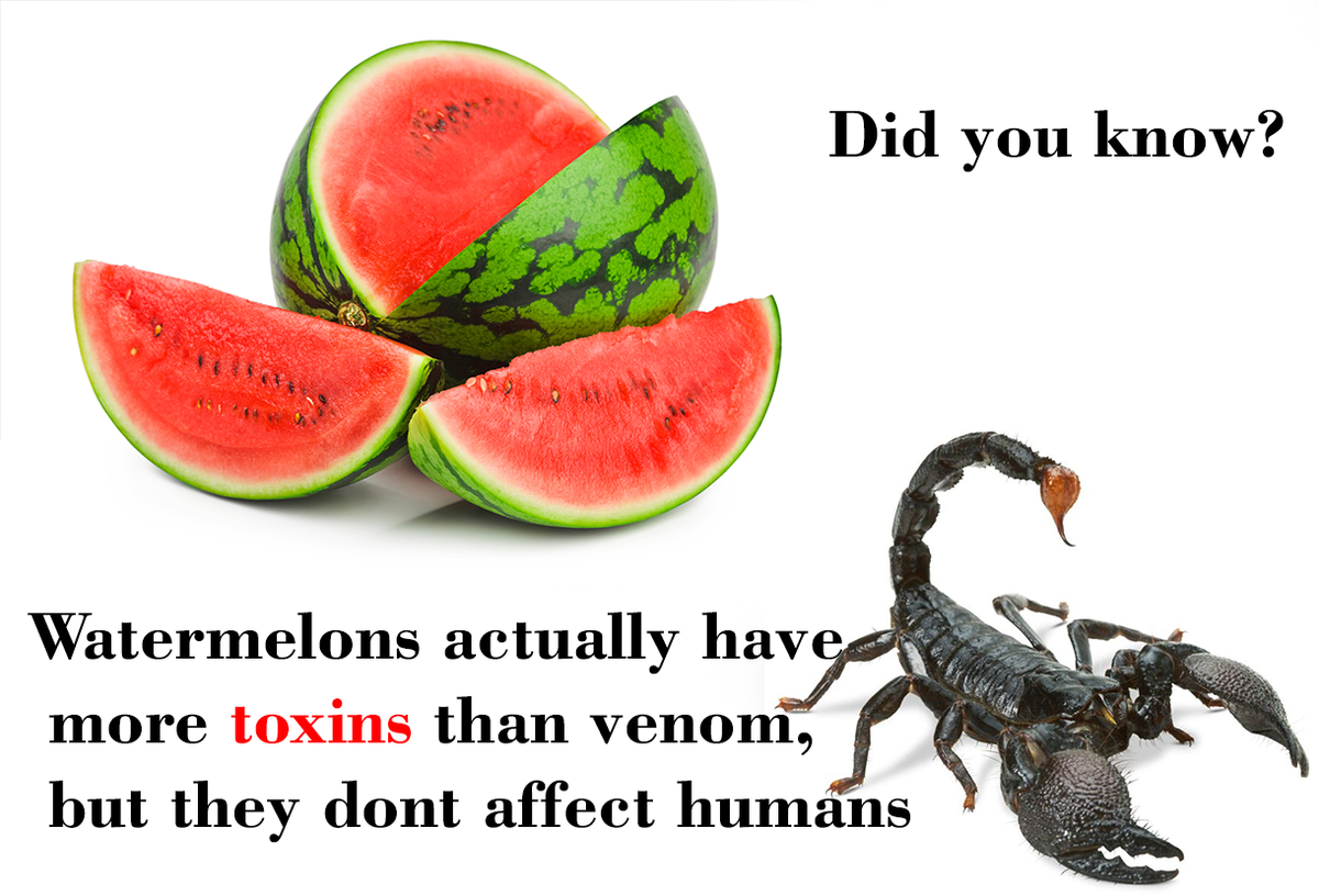_Reality_Facts_'s tweet photo. Watermelons actually have more toxins than venom, but they dont affect humans
#DidYouKnow https://t.co/j6mVWg7FKx