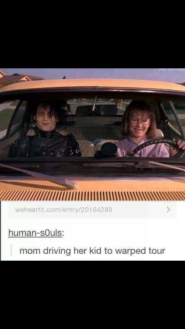 DEDICATEDABOVER's tweet photo. Beyond accurate 👌🏻😂 #warpedtour https://t.co/BVuL5MEkvm