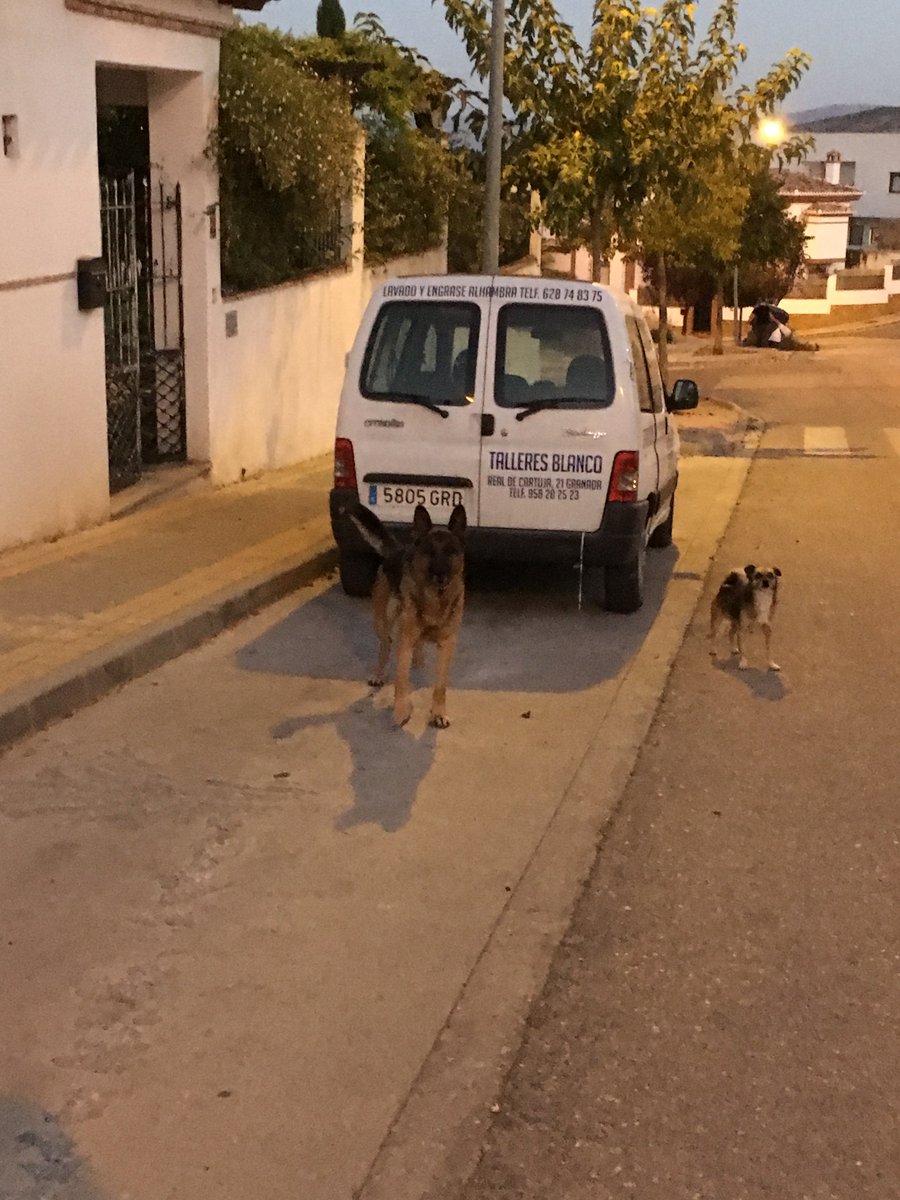 Jonathan Holgersson tweet media