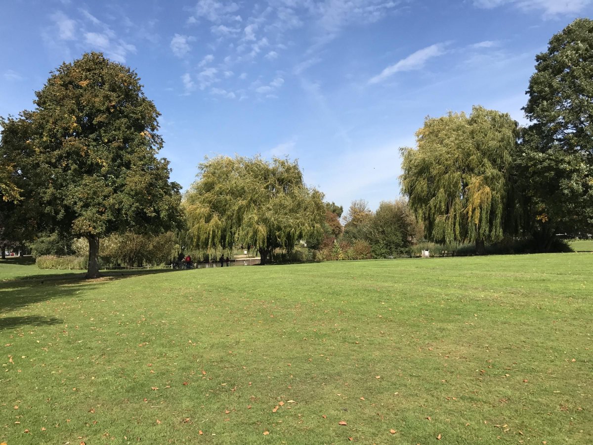 Tenant Finder tweet media