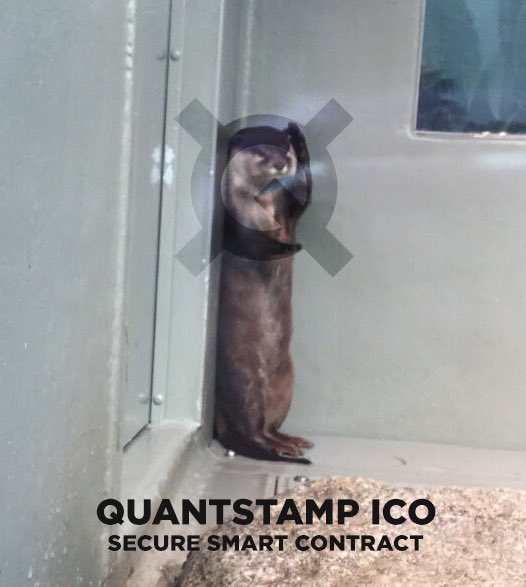 cryptomafiajp's tweet photo. @quantstamp secure smart contract of the future. #quantstamp #smartcontract #proofofcaring
https://t.co/AbMtihkOyl https://t.co/xLYqZmqSqP
