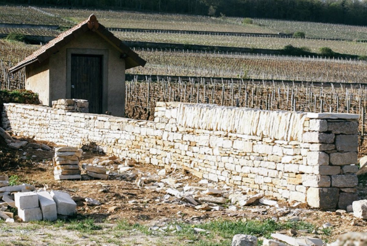 Le périmètre des <a href="/ClimatsUNESCO/">Les Climats du vignoble de Bourgogne</a> compte 220 km de murets... pas toujours en bon état. Sauvons les! <a href="/HISTOIRE_DU_VIN/">CHVV</a> 

lc.cx/GJV2