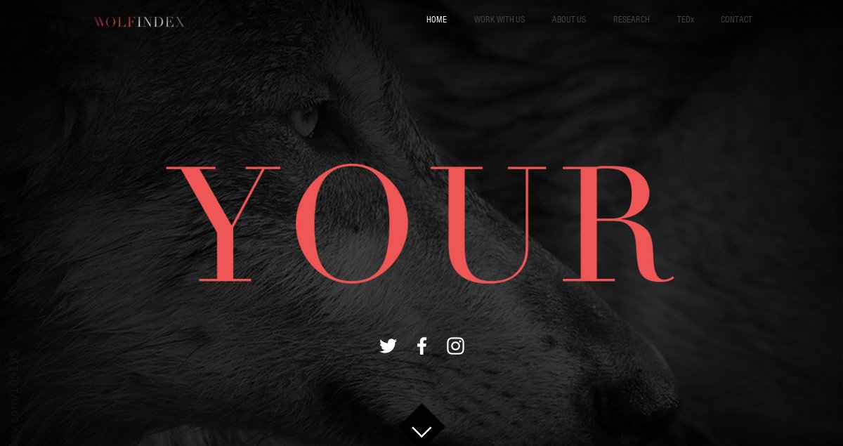 TheWolfIndex's tweet image. Excited to announce the launch of wolfindex.com! Visit us and stay posted for updates! 
#talentmanagement