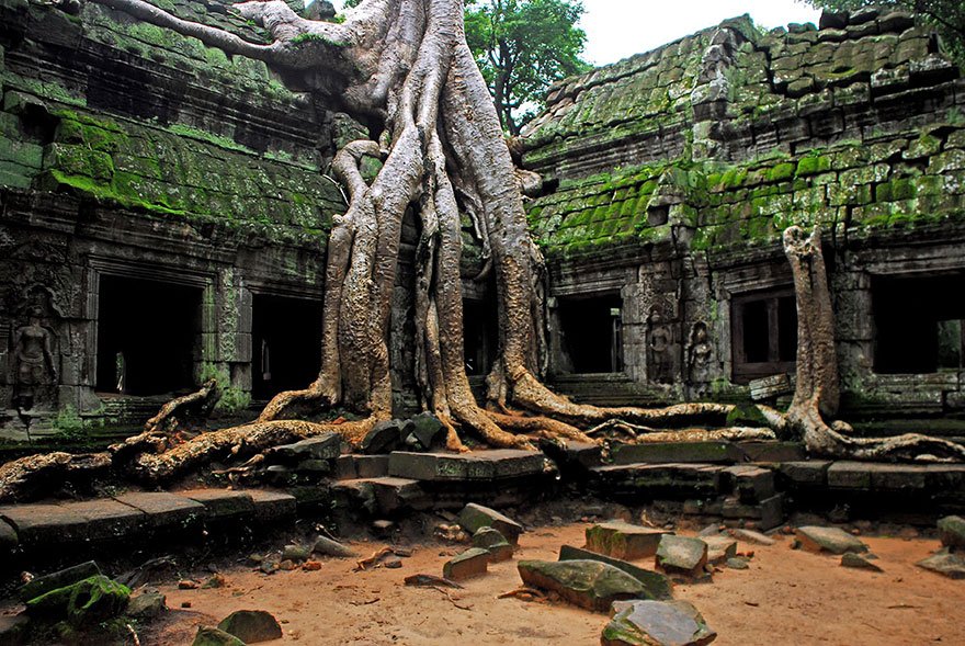ThoughtsJunk's tweet photo. Keep calm #retweet this picture #nature #Cambodia #travel #photography #architecture #landscape #temple https://t.co/8Egx8CSyJM